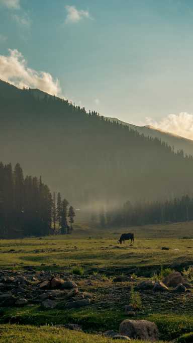 Bangus Valley Kupwara, Jammu & Kashmir, India
